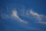 DSC_0582.jpg