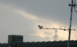 DSC_0693.jpg