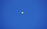 DSC_0772.jpg