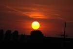 DSC_0987.jpg