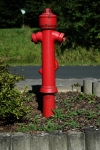 DSC_1251.jpg