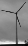 _DSC4389_4sw.jpg