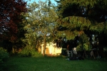 DSC_0143.jpg