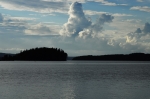 _DSC2600.jpg