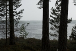 _DSC2870.jpg